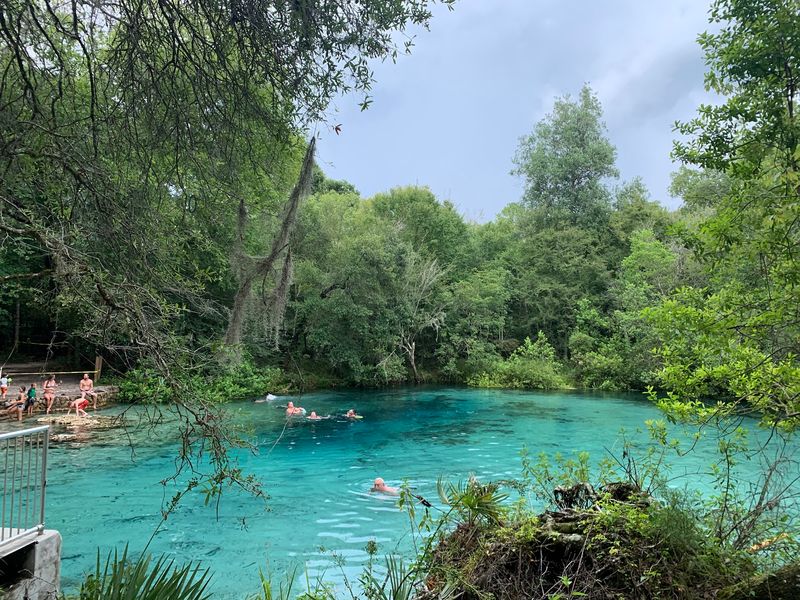 Swim in the Ichetucknee Headspring