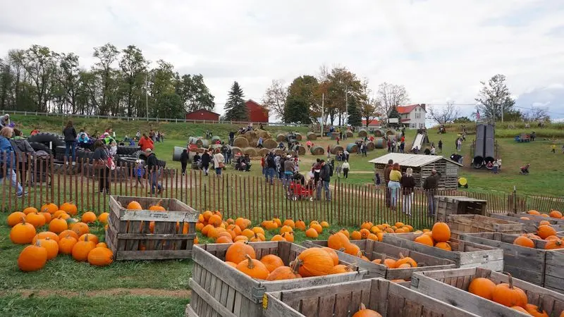 Arrowhead Orchard in Paris