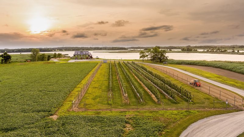 Thousand Acre Farm