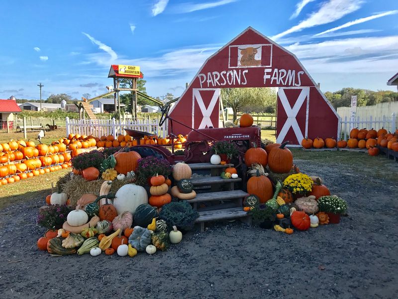 Parsons Farms Produce - Dagsboro