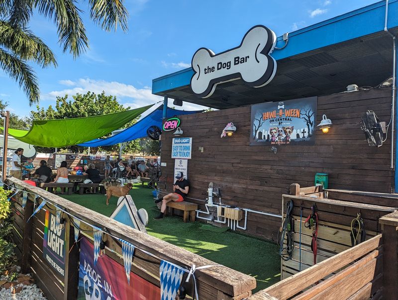 The Dog Bar St. Petersburg, St. Petersburg, Pinellas County