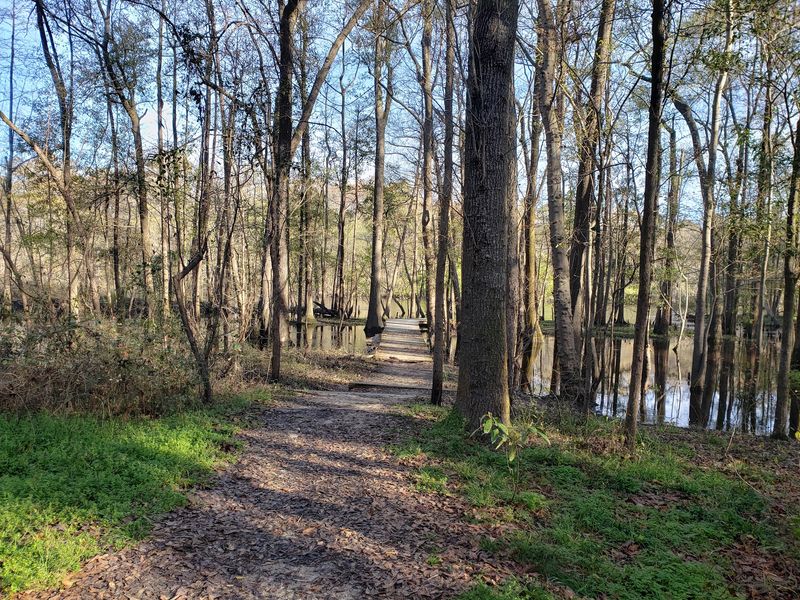 Colleton State Park - Walterboro