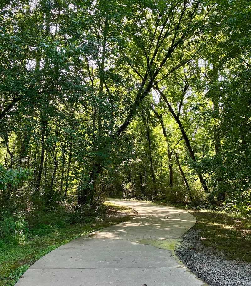 Follow Downtown Into The Noonday Creek Trail