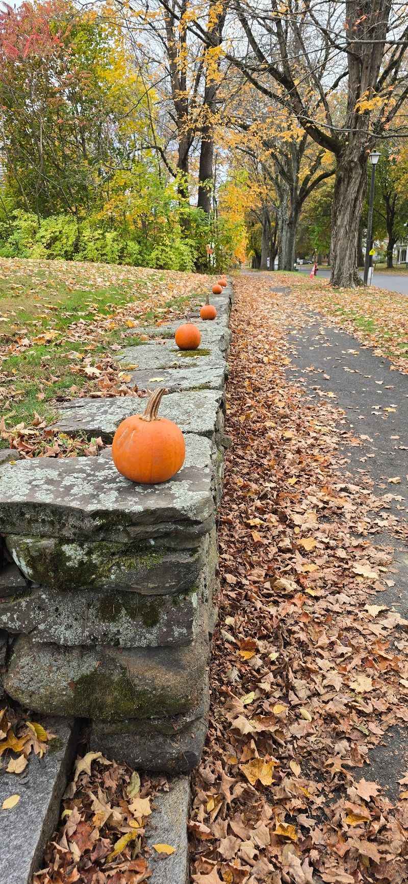 Look For Special Fall Family Programs