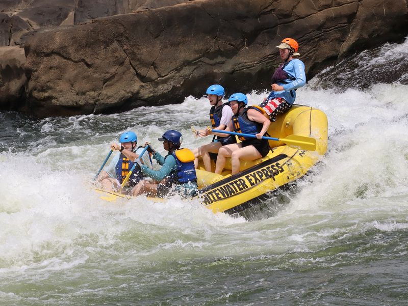 Go Even Wilder On The Carnage Trip