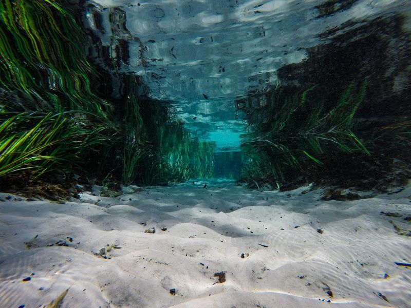 Snorkel In Exceptionally Clear Water
