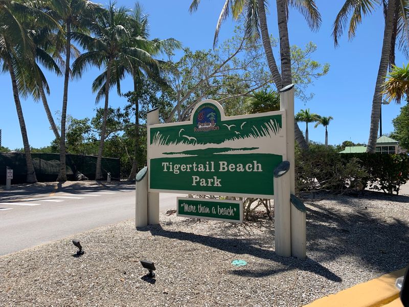 Make the Most of the Park's Family-Friendly Amenities