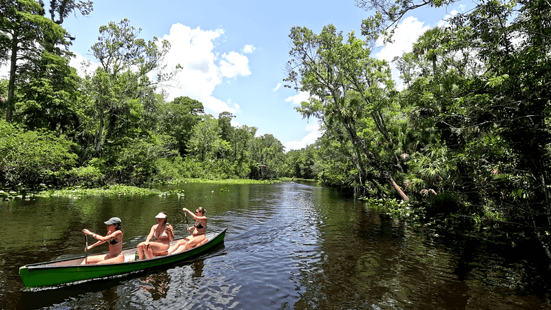 Go Kayaking on a Quiet Florida River