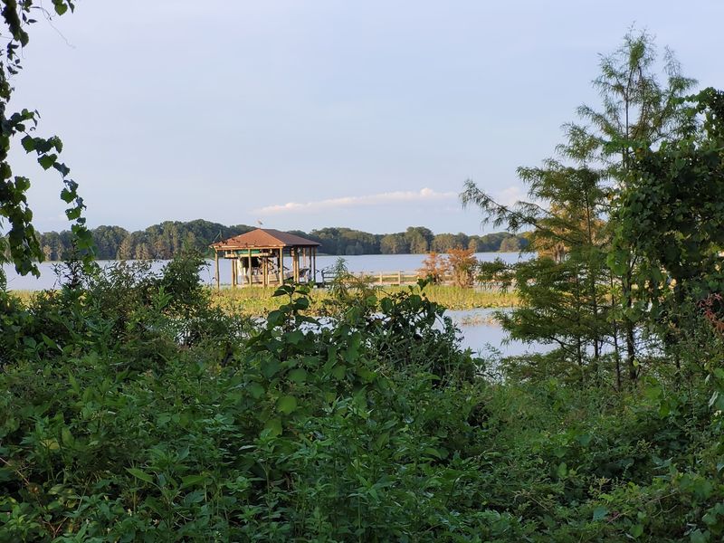 Discover the Lake Henderson Trestle