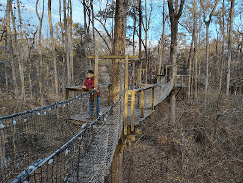 Listen for Birds at Branch Height