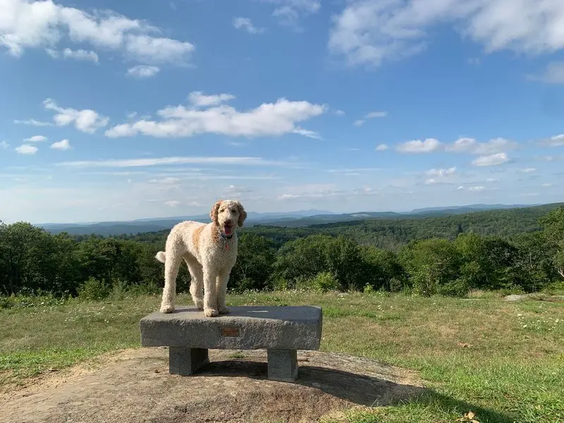 Mohawk Mountain Trail, Cornwall, Litchfield County