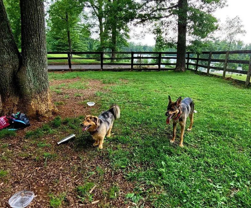 Vint Hill Dog Park - Warrenton