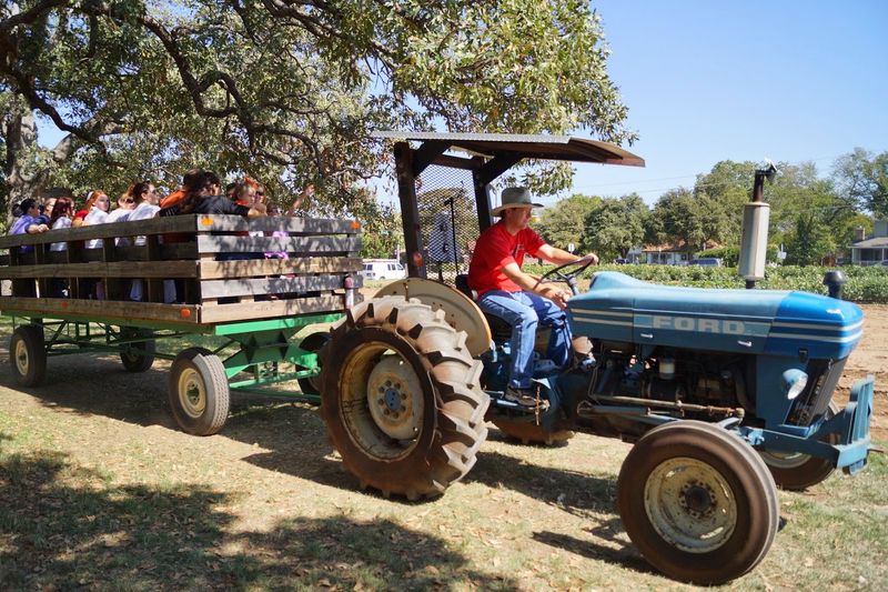 Historic Nash Farm Fall Round-Up - Grapevine