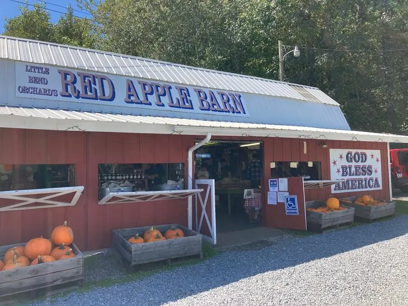 A Colorful Detour in Ellijay