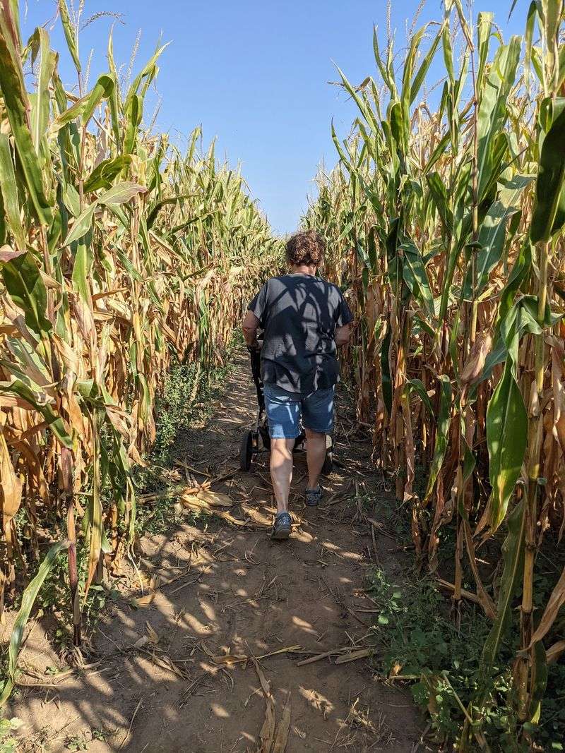 Families Can Turn the Maze Into a Game
