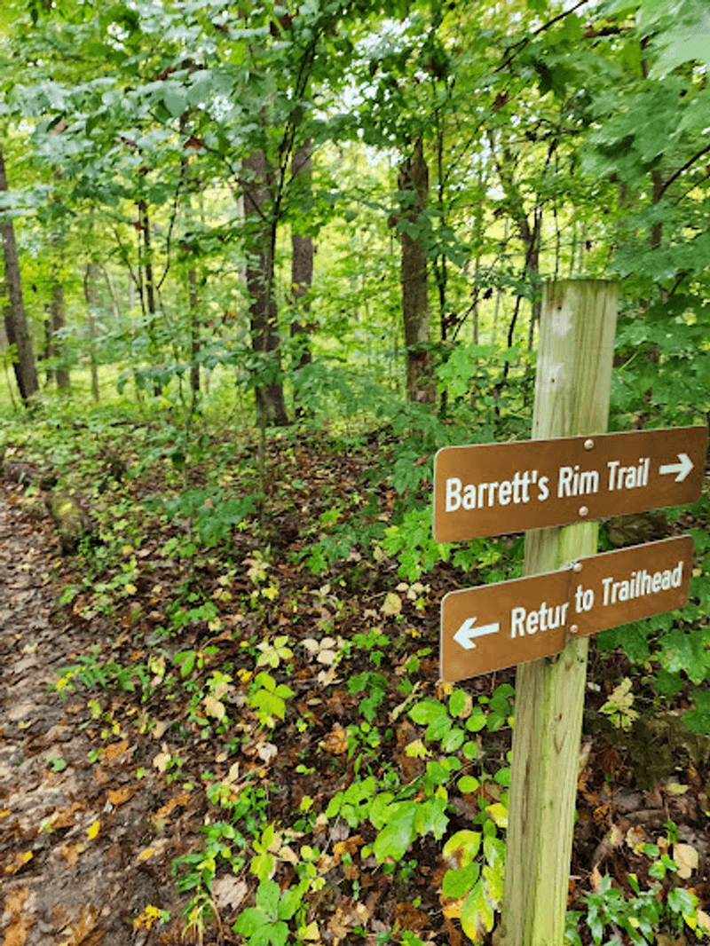 A Trail for Another Kind of Day