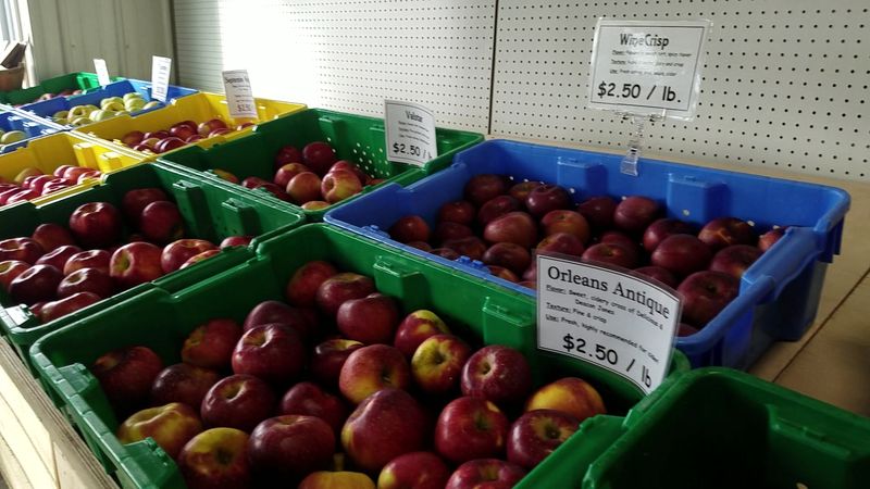 Buffalo Ridge Orchard - Central City