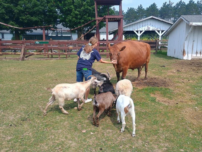 Animal Stops Make The Day Extra Kid Friendly