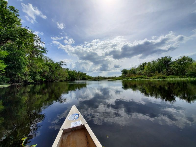 Wildlife Watching Rewards Slow And Patient Visitors