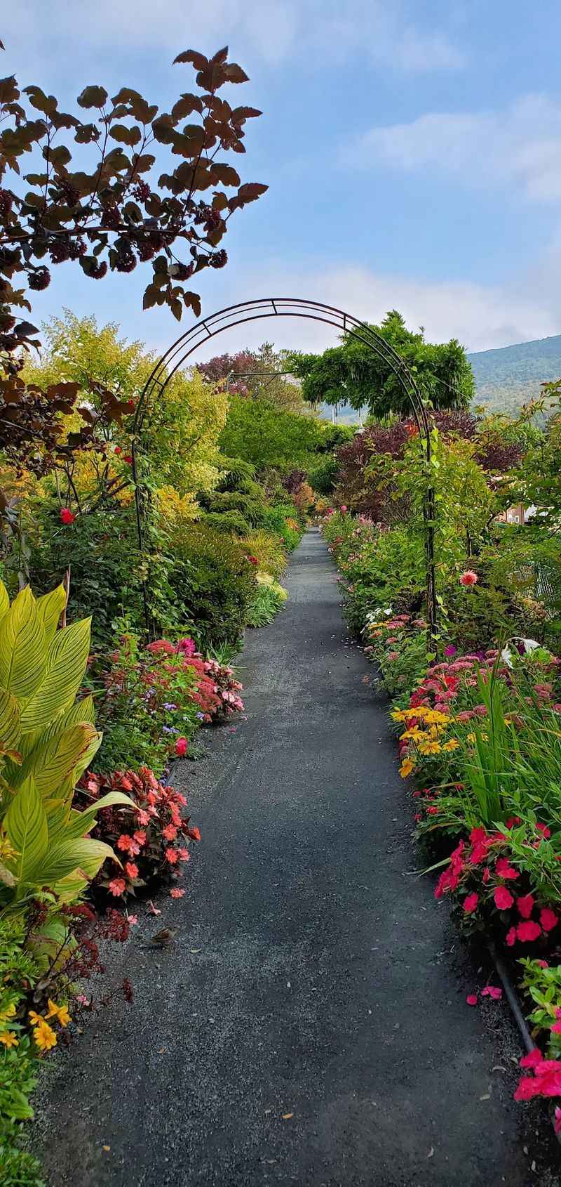 Hundreds Of Plants Turn A Simple Walk Into A Garden Tour