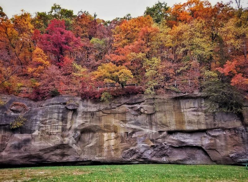 Red Rock Adds Warm Color to the Scene