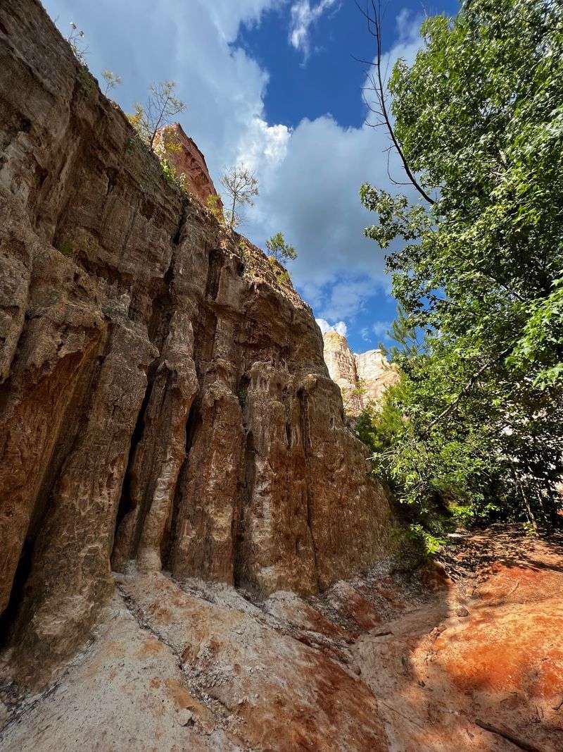 There's A More Rugged Side Of Providence Canyon