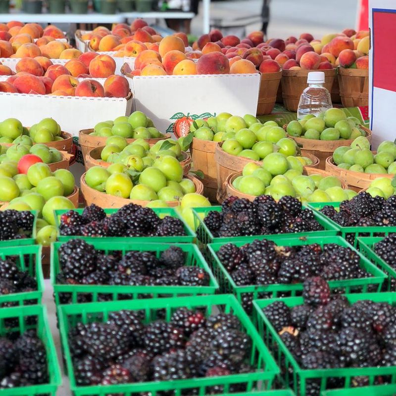 Waco Downtown Farmers Market