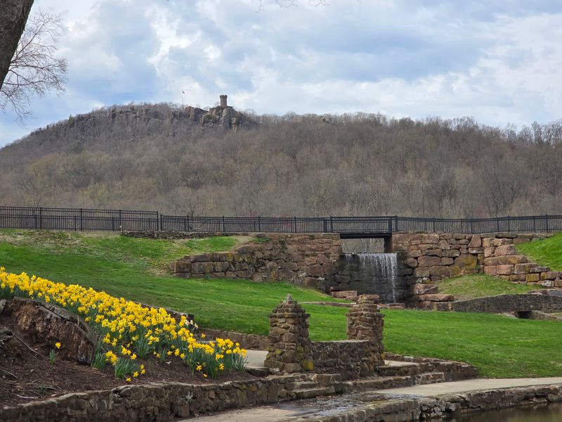 Spring&rsquo;s Bright Daffodil Show