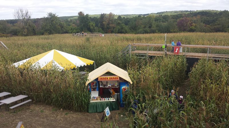 Fall Food Makes the Visit More Than a Maze Trip