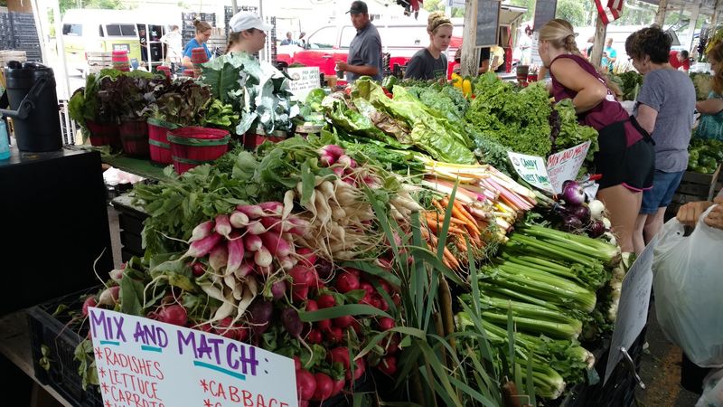 Meeting the Farmers Behind Your Food