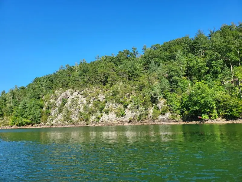 A Shoreline Full of Hidden Turns