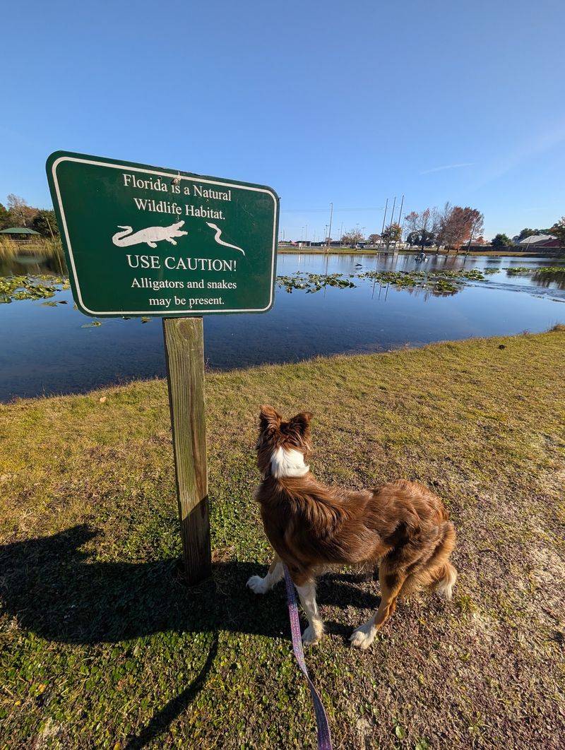 Frank Brown Park and Dog Park, Panama City Beach, Bay County
