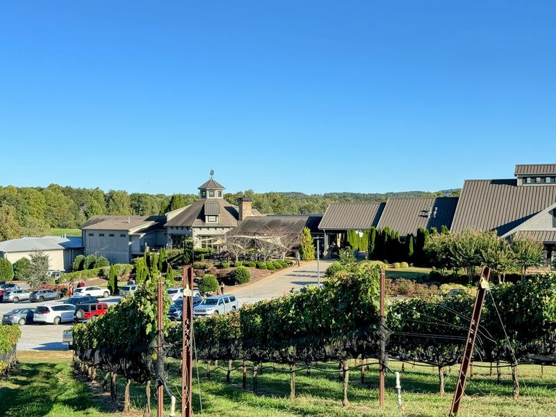 A Tour That Connects Grapes and Barrels