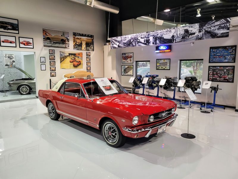 Mustang Owners Are Part of the Story