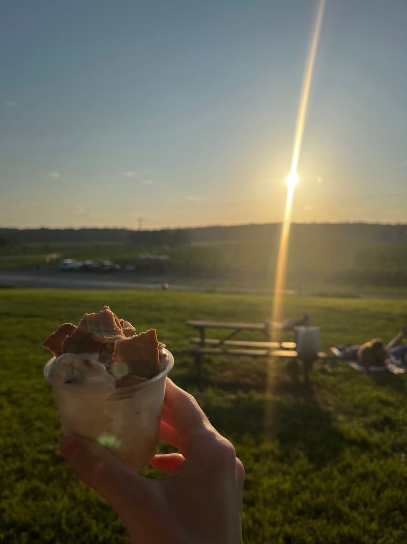 Plan Your Visit to Maple View Farm Ice Cream