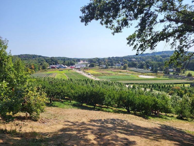 There's Plenty To Do Even If You Aren't Picking Apples