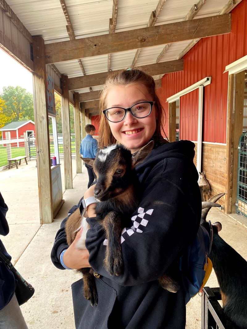 Busy Barn Farm Adventures - Fort Atkinson