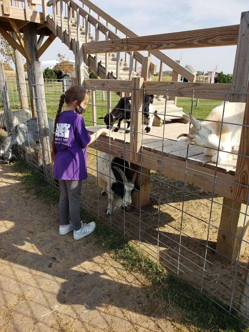 Kids Can Meet the Farm Animals