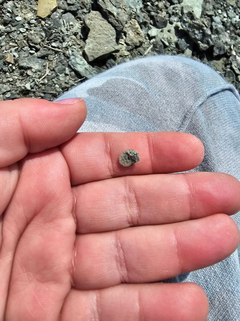 Rain Can Reveal Fresh Fossils
