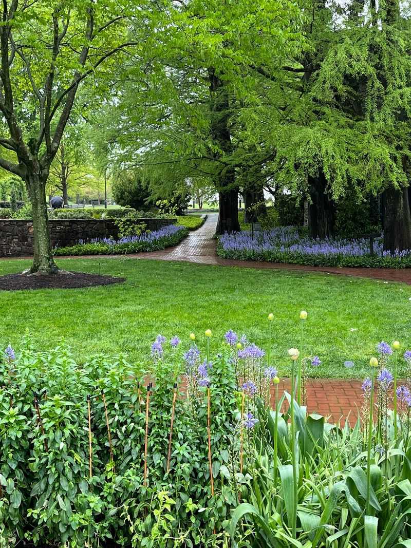 The Open Air Theatre Blends Architecture, Music, And Water