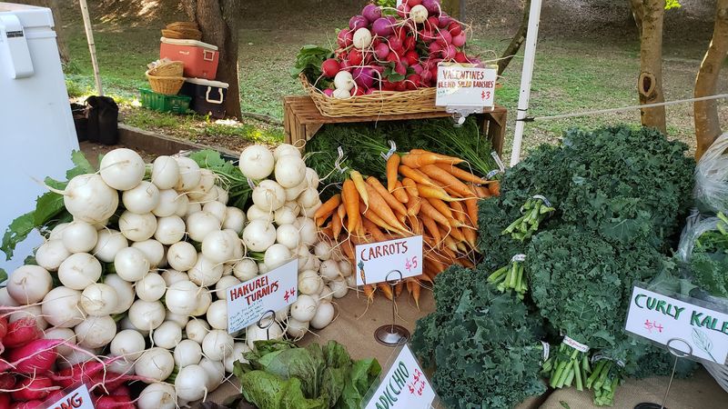 Grant Park Farmers Market - Atlanta