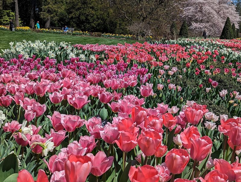 Flower Garden Walk Brings Longwood's Garden Traditions To Life