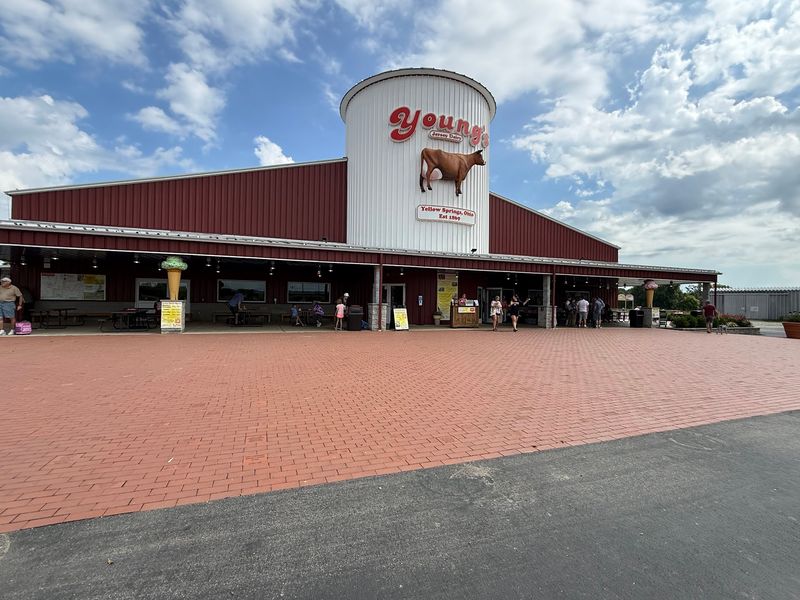 A Real Working Dairy Farm, Not Just An Ice Cream Shop