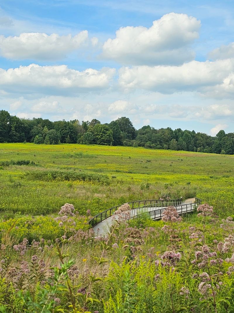 The Meadow Garden Offers A Completely Different Side Of Longwood