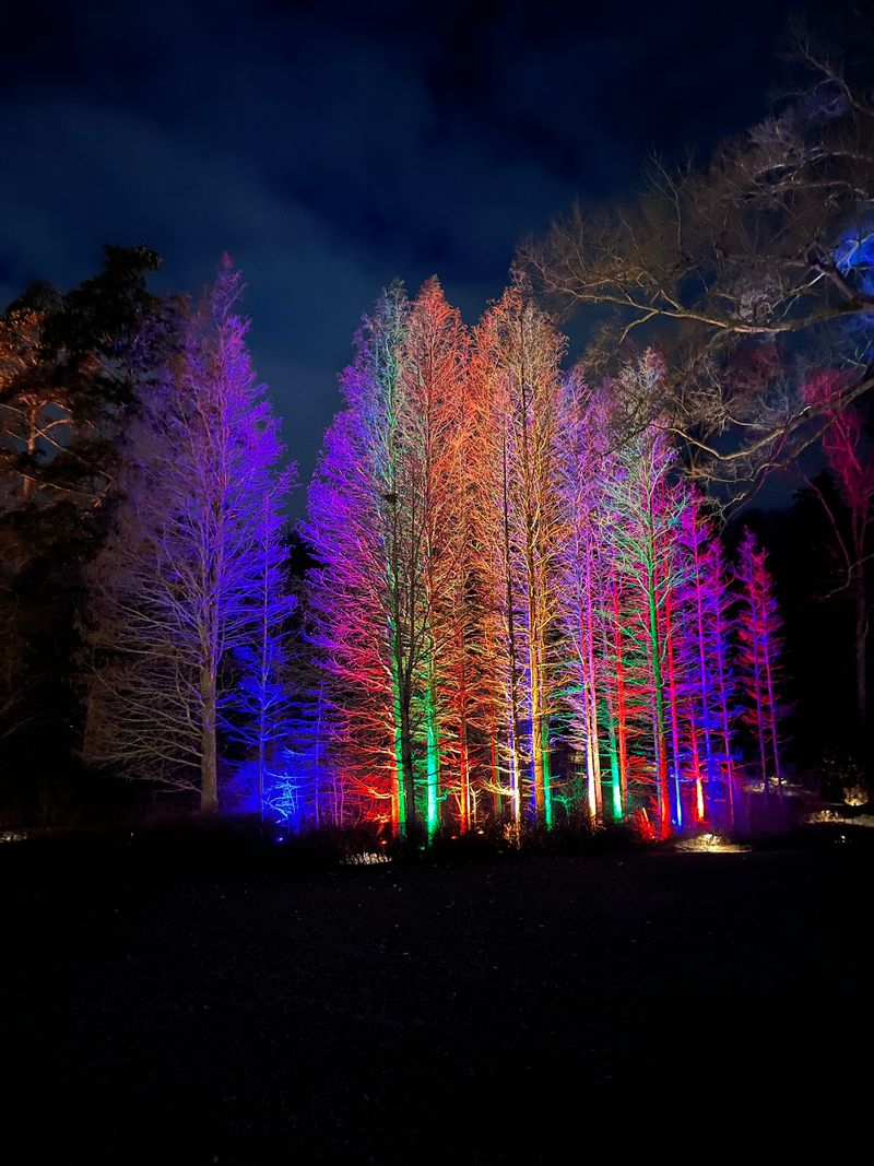 Seasonal Displays Make Every Visit Look Different