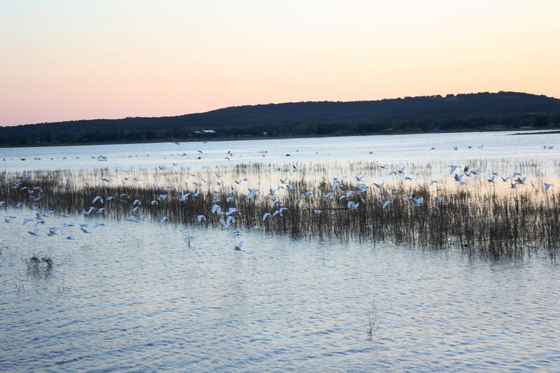 Bluffton Had Farms, Orchards, Homes, And A Community Before The Lake