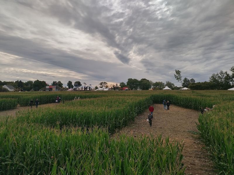 There's a Long History Behind This Giant Maze