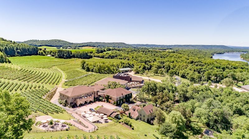 Vineyards Above the Wisconsin River