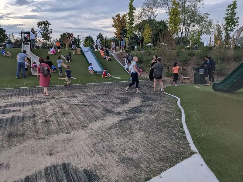 It Was Designed For Kids Of All Abilities