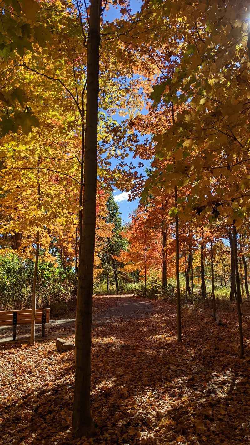 Walking Trails Make It Easy To Add More Adventure
